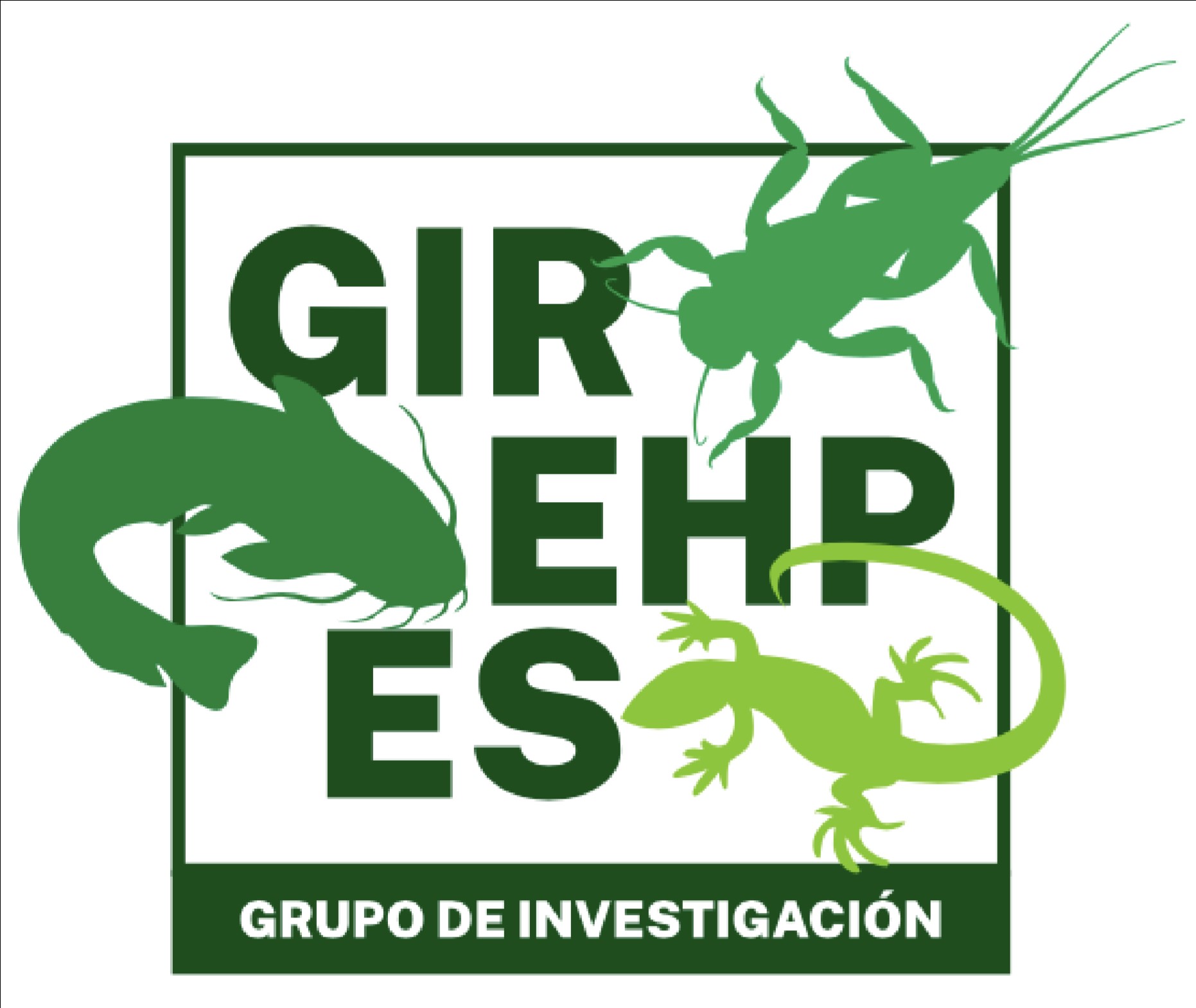 Logo GIREHPES